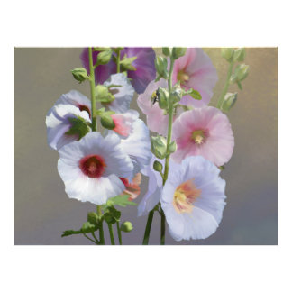Hollyhock Grouping Fototryck