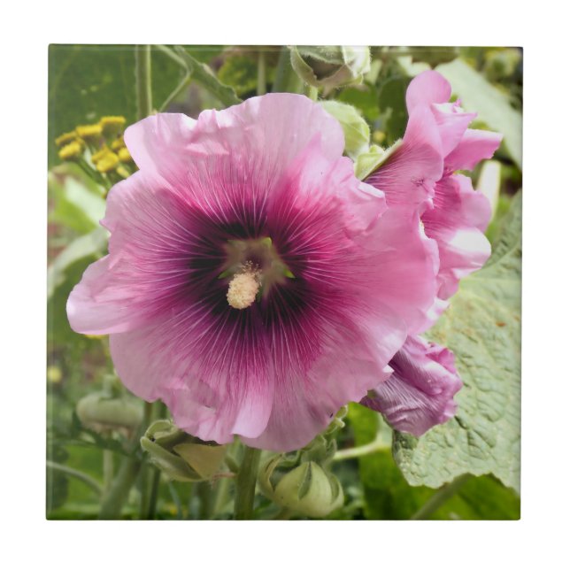 HOLLYHOCK KAKELPLATTA (Framsidan)