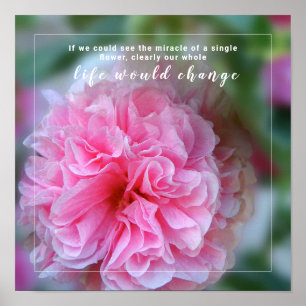 Hollyhock Rosa Flower Photo with Citote Poster