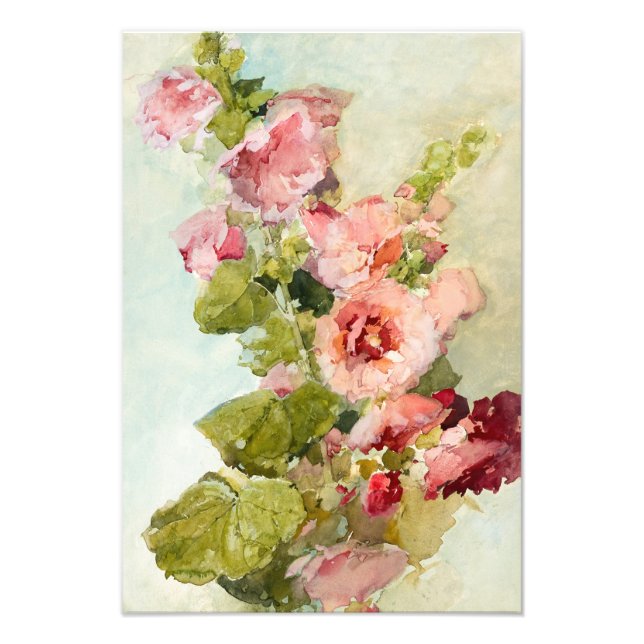 Hollyhocks av Franz Bischoff Fototryck (Framsidan)