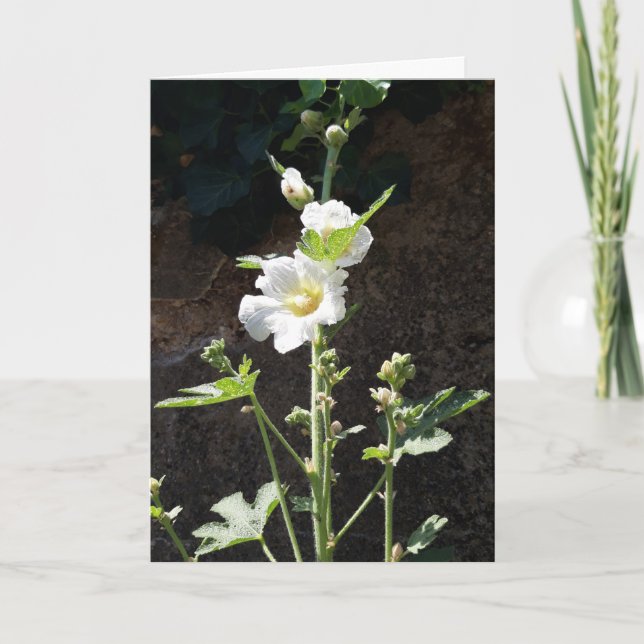 Hollyhocks blomsterkort kort (Framsida)