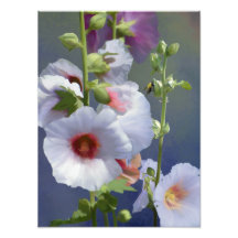 Hollyhocks - Digital målning - Fotoutvidgning