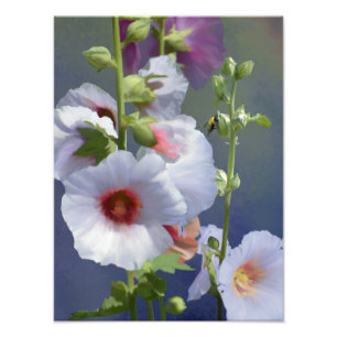 Hollyhocks - Digital målning - Fotoutvidgning Fototryck