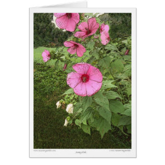 Hollyhocks Hälsningskort