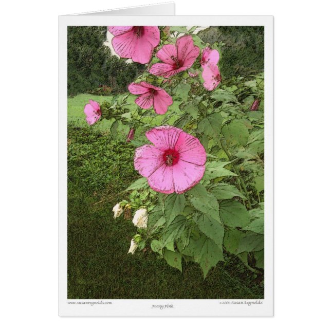 Hollyhocks Hälsningskort (Framsidan)