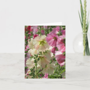 Hollyhocks: Japan Kort