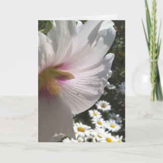 Hollyhocks och Daisy Greeting Card Kort