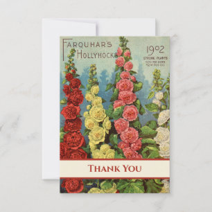 Hollyhocks Red Peach Gult Cream 1902 Seed Packet Tack Kort