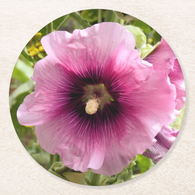 HOLLYHOCKS UNDERLÄGG PAPPER RUND (Framsidan)