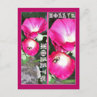 HOLLYS BOKMÄRKEN VYKORT