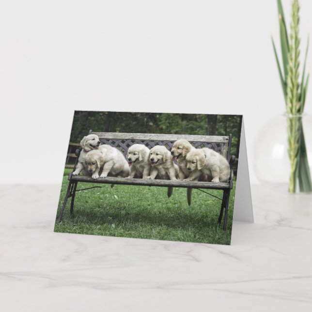 Holly's halv dozen-fotokort kort (Framsida)