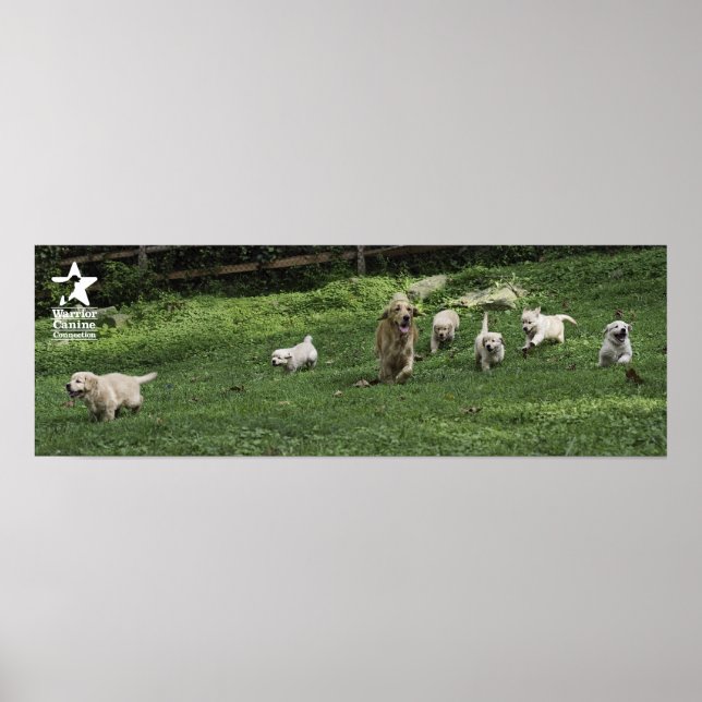 Holly's halv Dozen Romp Poster (Framsidan)