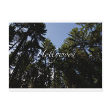 Hollywood - hälsningskort