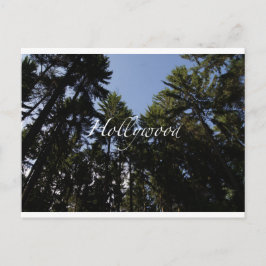 Hollywood - hälsningskort vykort