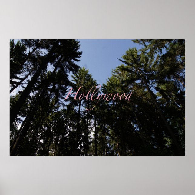 Hollywood Poster (Framsidan)