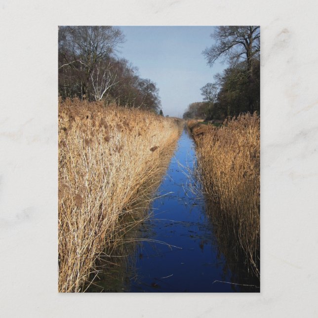 Holme Fen-dike Vykort (Framsida)