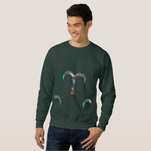 hologram aries manar sweatshirt