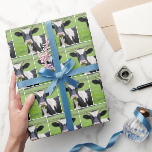 Holstein Bull i Grönt Pasture Presentpapper