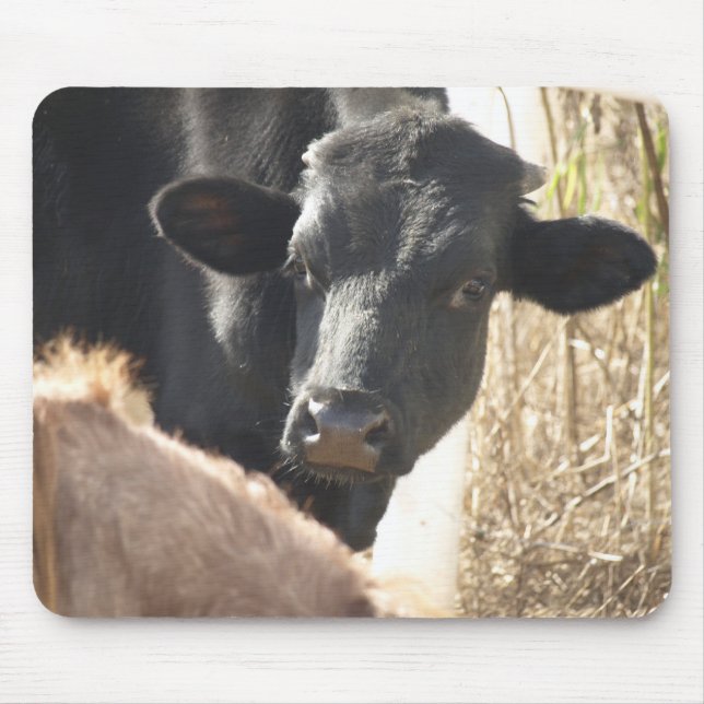 Holstein Bull Mousepad Musmatta (Framsidan)