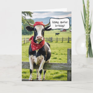 Holstein Cow Birthday Humor Kort