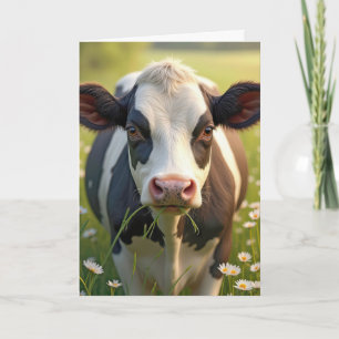Holstein Cow Birthday Humor Kort