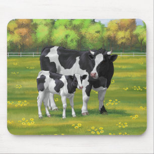 Holstein Cow & Cute Calf i sommarbetesmark Musmatta