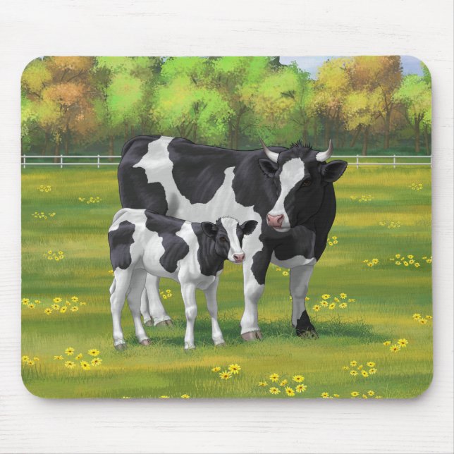 Holstein Cow & Cute Calf i sommarbetesmark Musmatta (Framsidan)