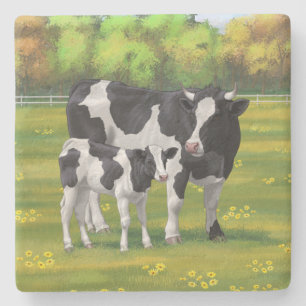 Holstein Cow & Cute Calf i sommarbetesmark Stenunderlägg
