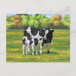 Holstein Cow & Cute Calf i sommarbetesmark Vykort