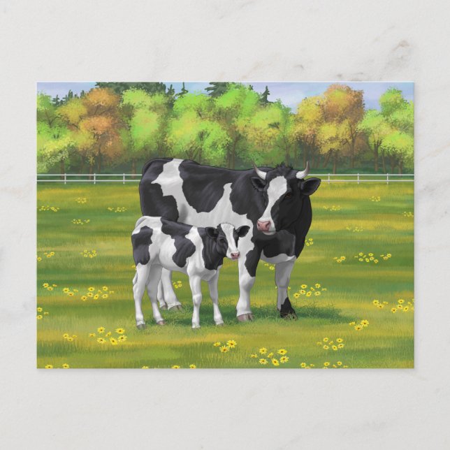 Holstein Cow & Cute Calf i sommarbetesmark Vykort (Framsida)