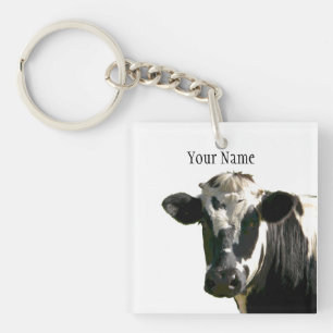 Holstein Cow Farm Animal Dairy Black & White