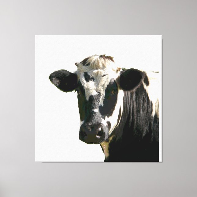 Holstein Cow Farm Animal Dairy Black & White Canvastryck (Framsida)