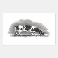 Holstein Cow Grazing: Realism Pencil Teckning
