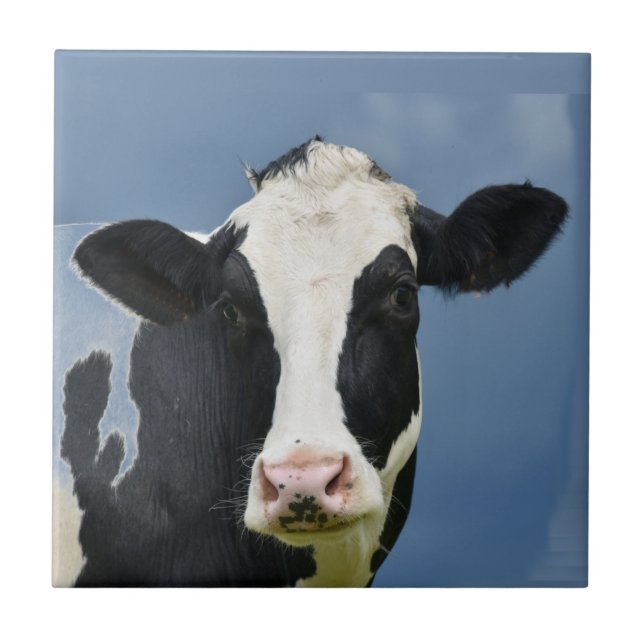 Holstein COW Kakelplatta (Framsidan)