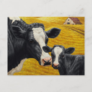 Holstein Cow och Calf med Old Wood Barn Vykort