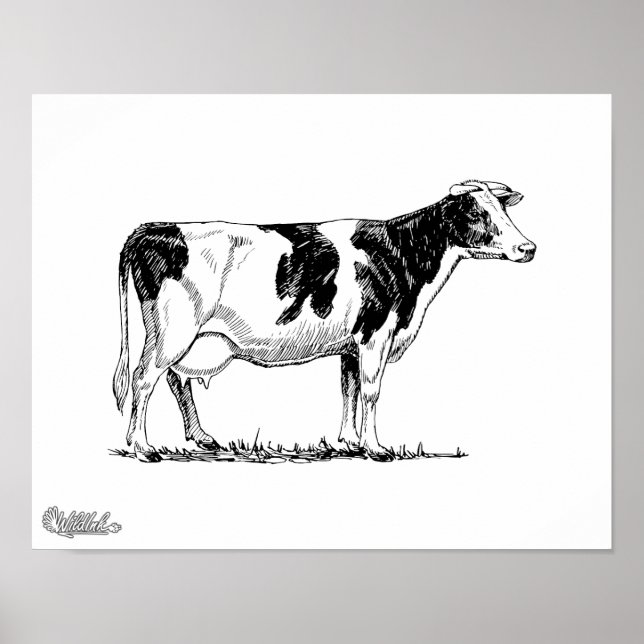 Holstein Cow Poster (Framsidan)