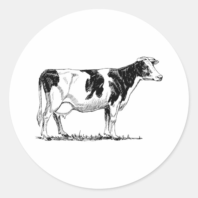 Holstein Cow Runt Klistermärke (Framsida)