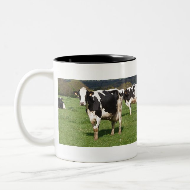 Holstein cows in a field in Brittany Två-Tonad Mugg (Vänster)