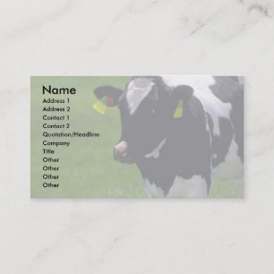 Holstein Dairy Cattle Visitkort