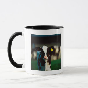 Holstein-Friesian kalv Mugg