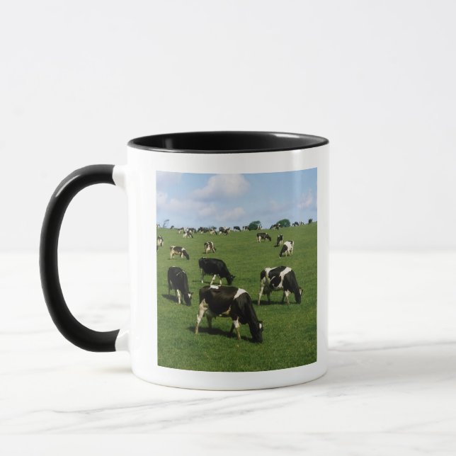 Holstein-Friesian nötkreatur, Irland Mugg (Vänster)