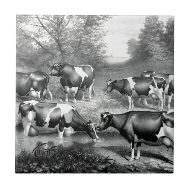 Holstein frisiska kor frisiska kor kakelplatta (Framsidan)