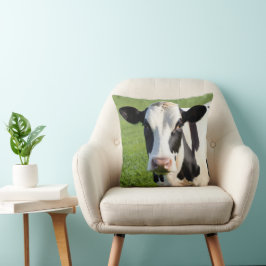 Holstein Heifer på betesmark Kudde