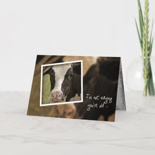 Holstein Humor för födelsedagen Kort (Framsida)