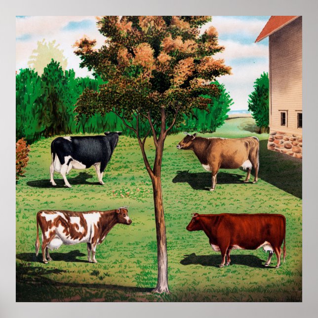 Holstein, Jersey, Ayrshire & Shorthorn cows Poster (Framsidan)