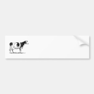 Holstein ko bildekal