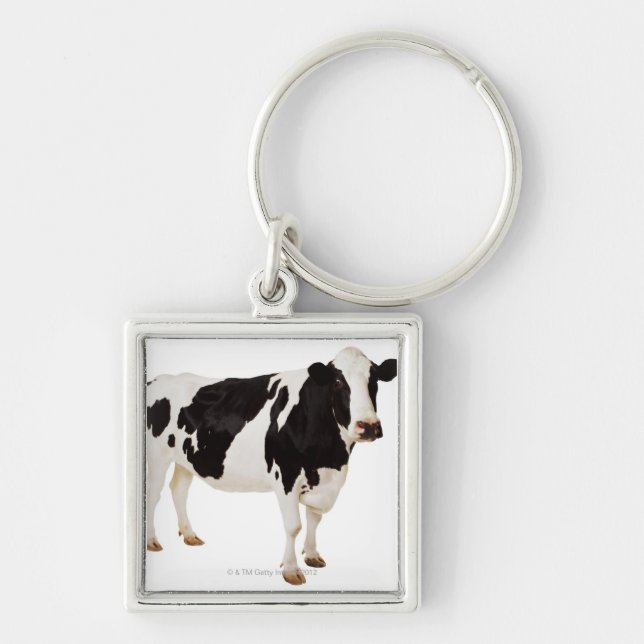 Holstein ko (Bostaurusen) Fyrkantig Silverfärgad Nyckelring (Framsidan)