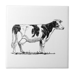 Holstein ko kakelplatta