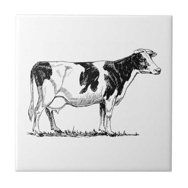 Holstein ko kakelplatta (Framsidan)