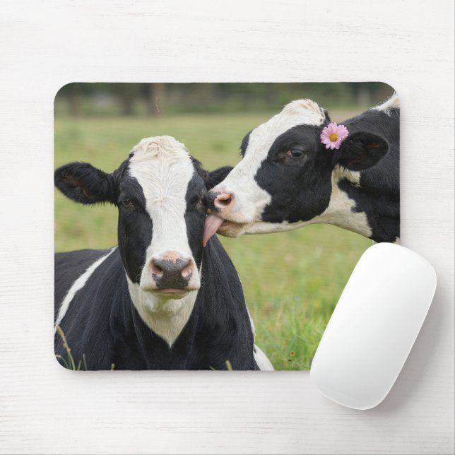 Holstein Ko Kiss Musmatta (Med mus)